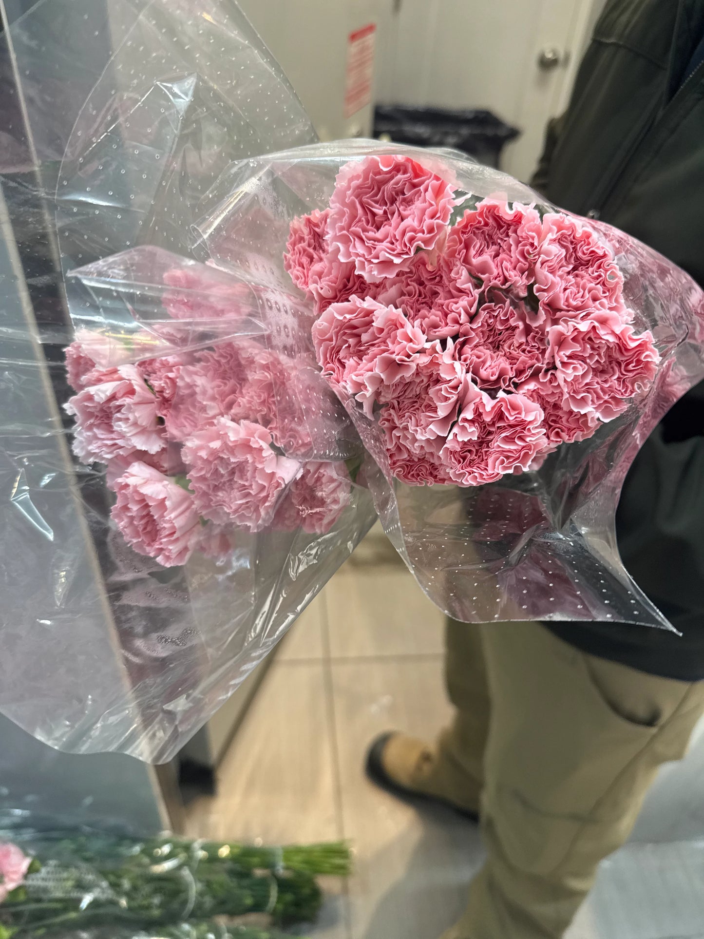 Fancy Carnations