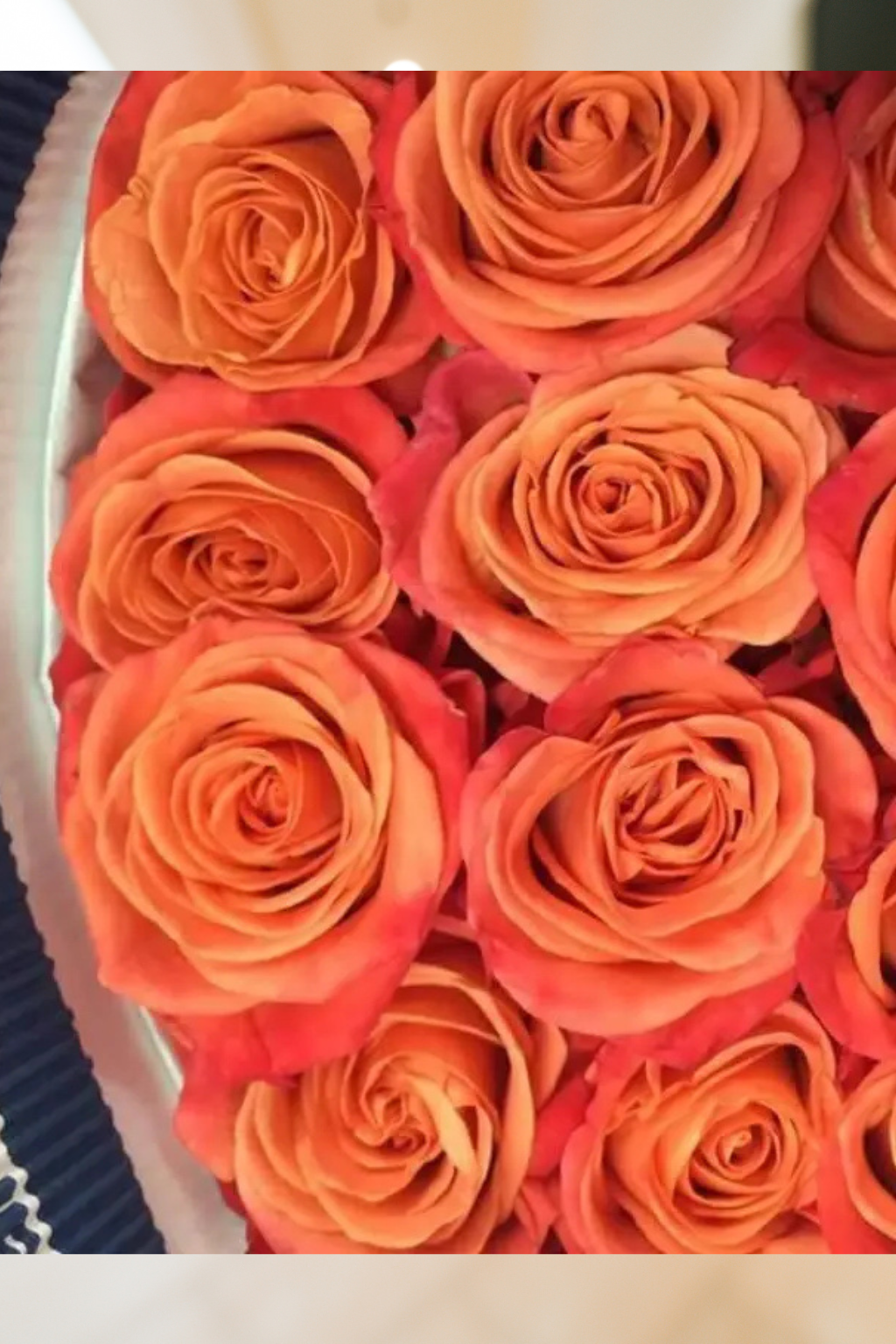 Orange Roses – 50 CM