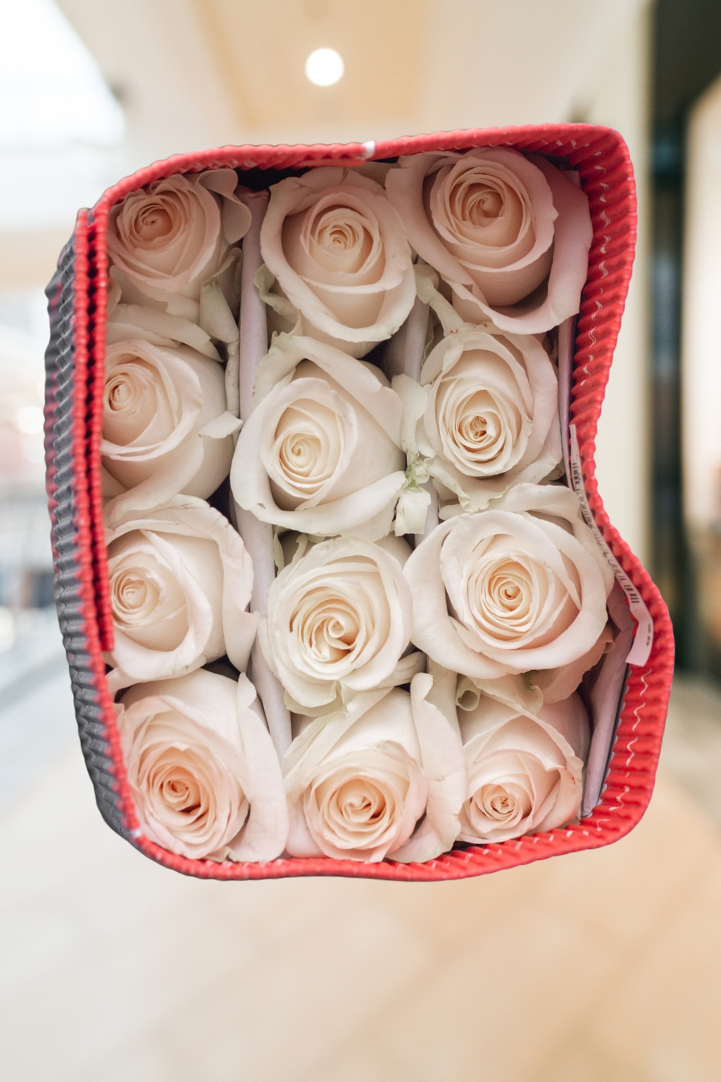 Vendela Roses – 50 CM