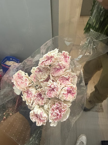 Fancy Carnations