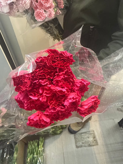 Fancy Carnations
