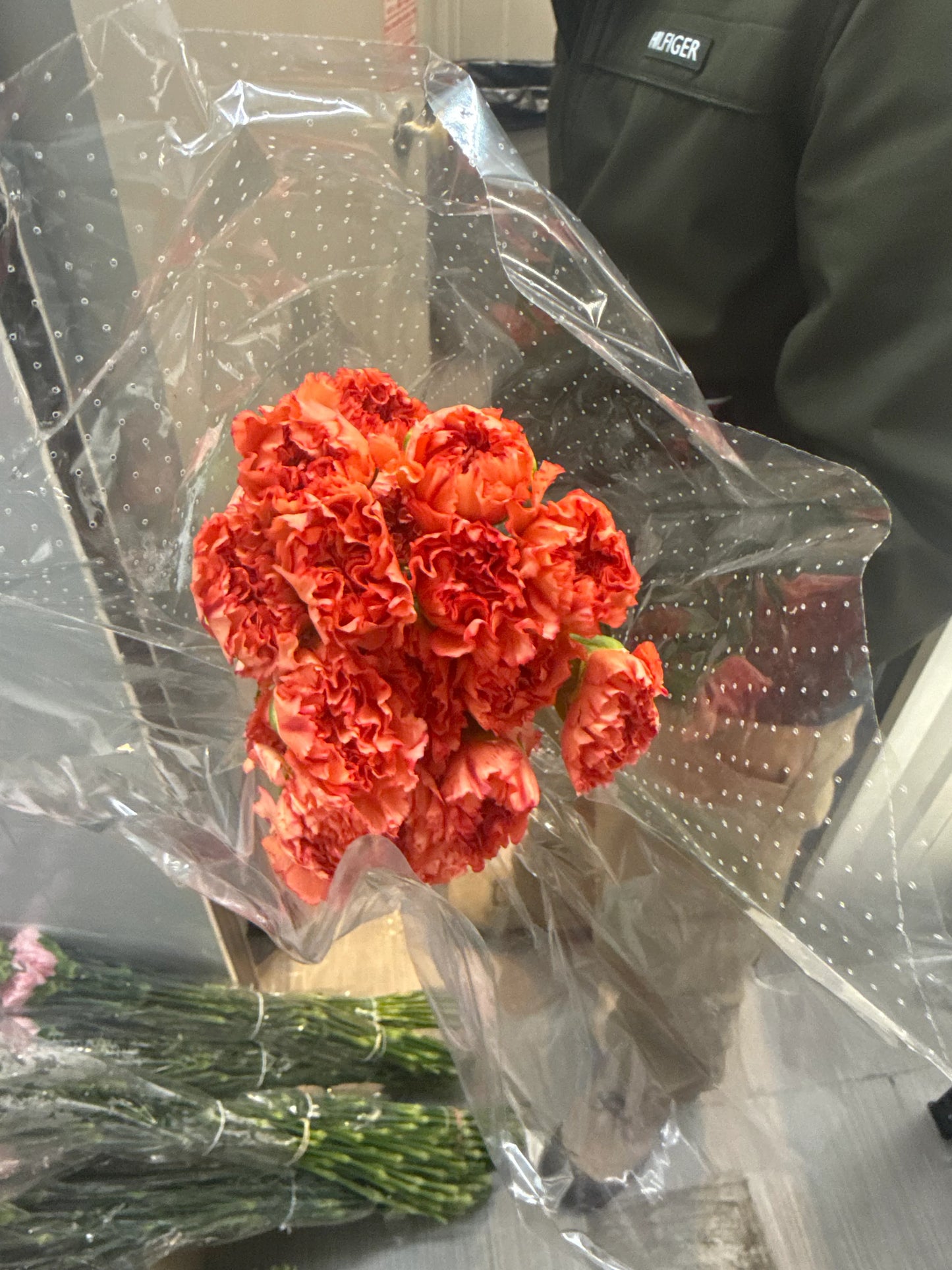 Fancy Carnations