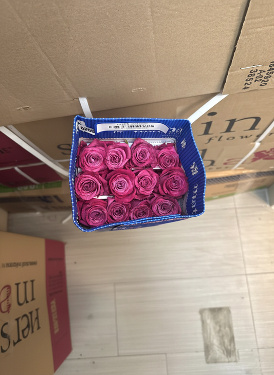 Lavender Roses - 50 CM