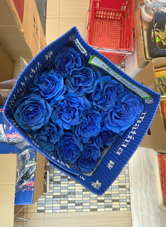 Blue Roses – 50 CM