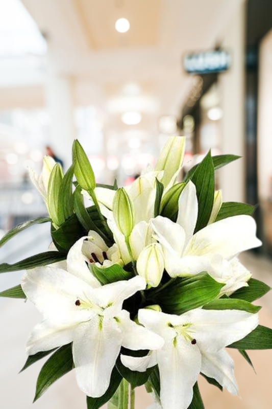 Lilies White
