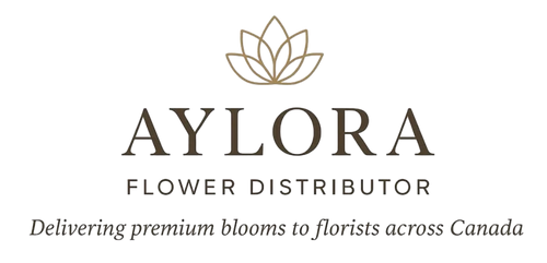 Aylora Flower