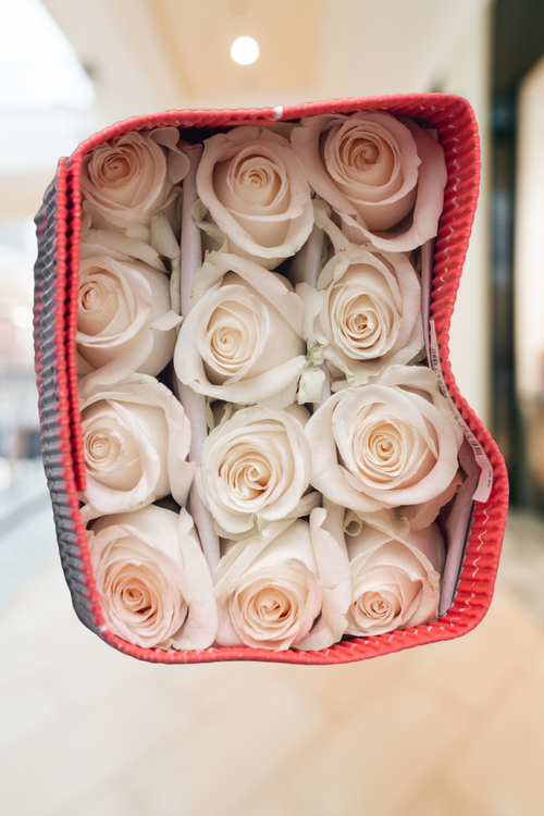 Vendela Roses – 50 CM